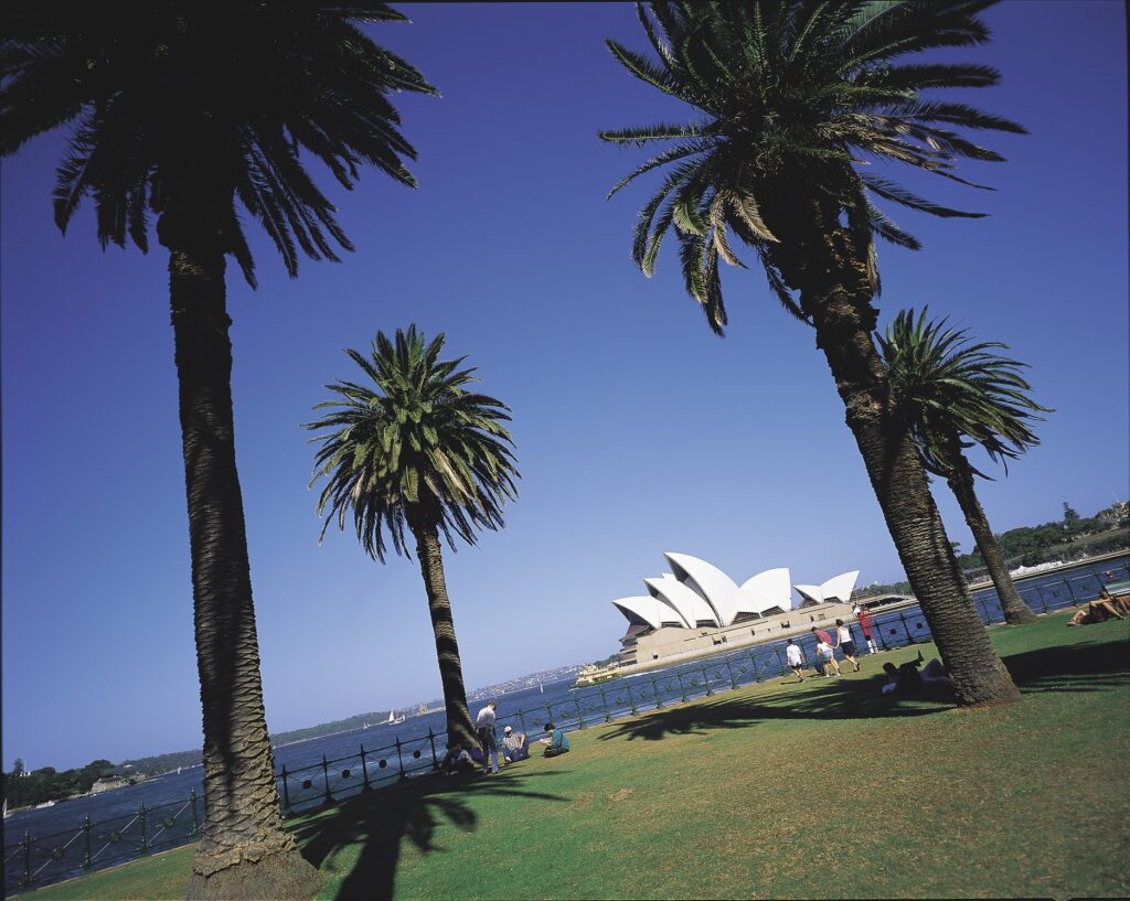 Sydney Opera House mit Palmen im Vordergrund und blauem Himmel.