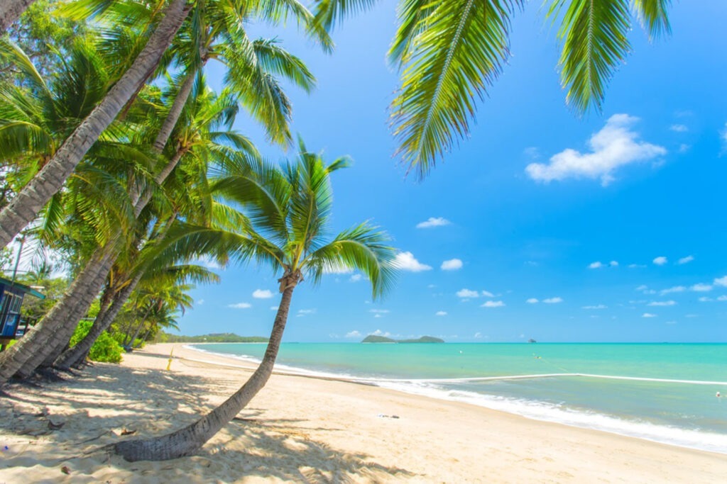 Tropischer Sandstrand mit Palmen und türkisblauem Meer unter strahlend blauem Himmel.