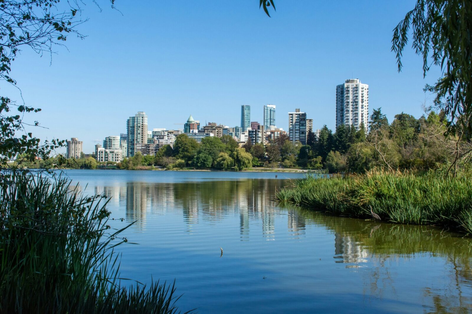 Blick auf die Skyline von Vancouver vom Stanley Park aus, mit ruhigem Wasser und grüner Natur im Vordergrund.