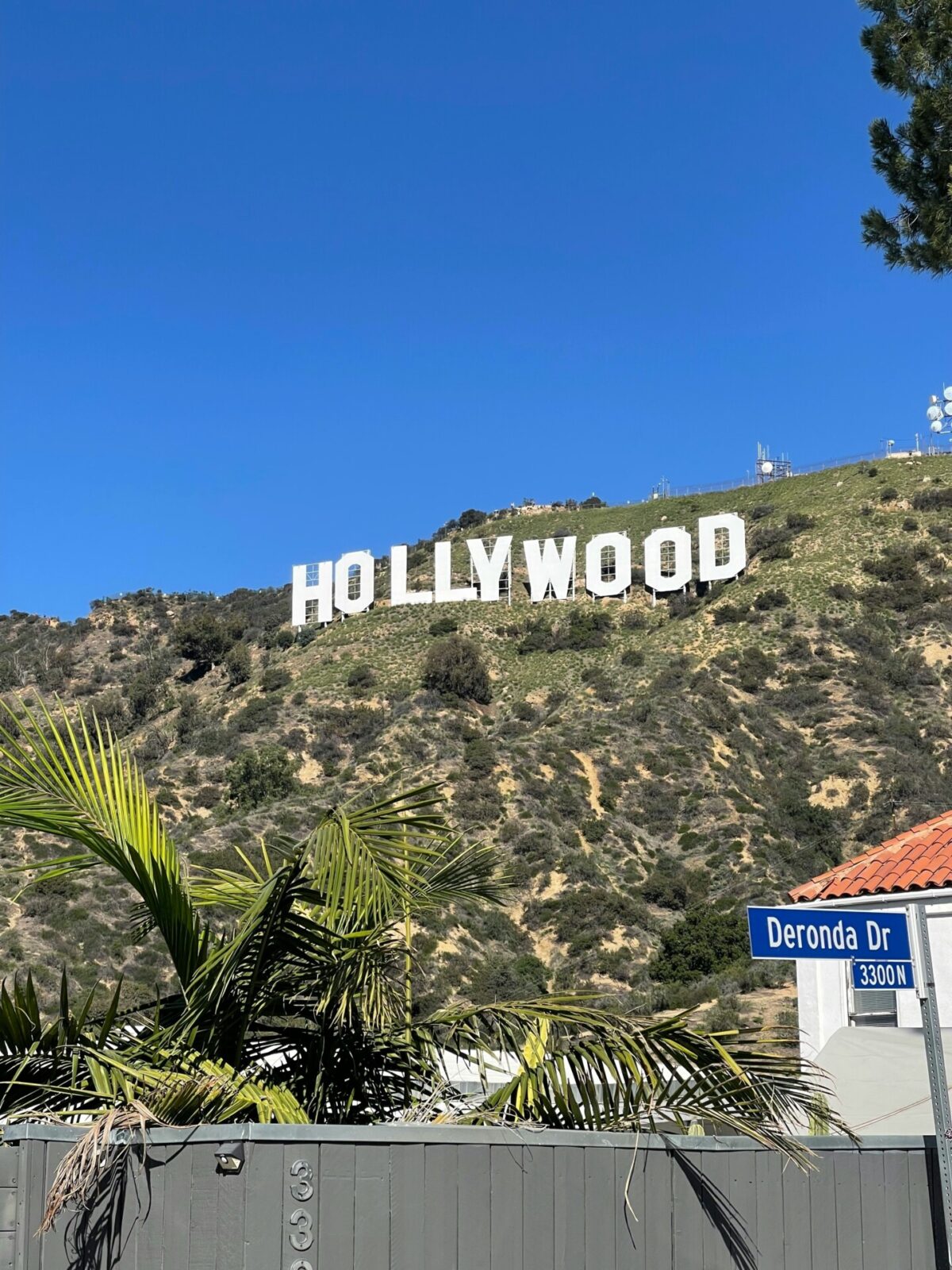 Das berühmte Hollywood Sign auf den Hügeln von Los Angeles mit blauem Himmel und grüner Vegetation.