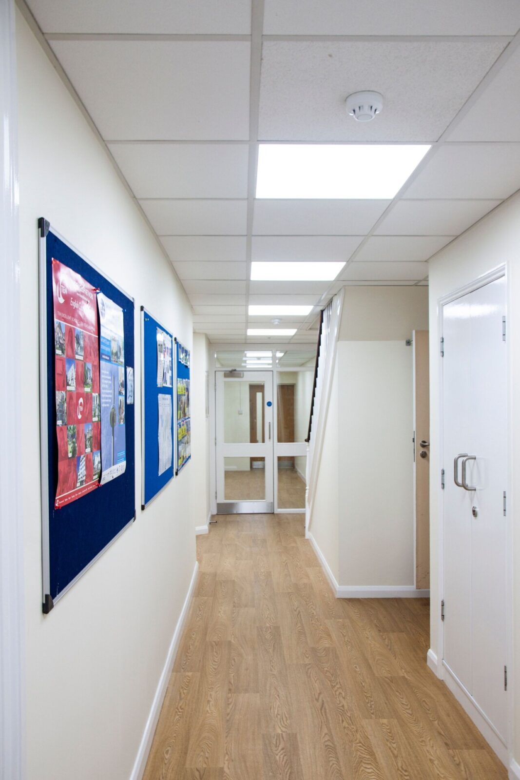 Heller und moderner Flur einer Bildungseinrichtung mit Pinnwänden und Glastüren.